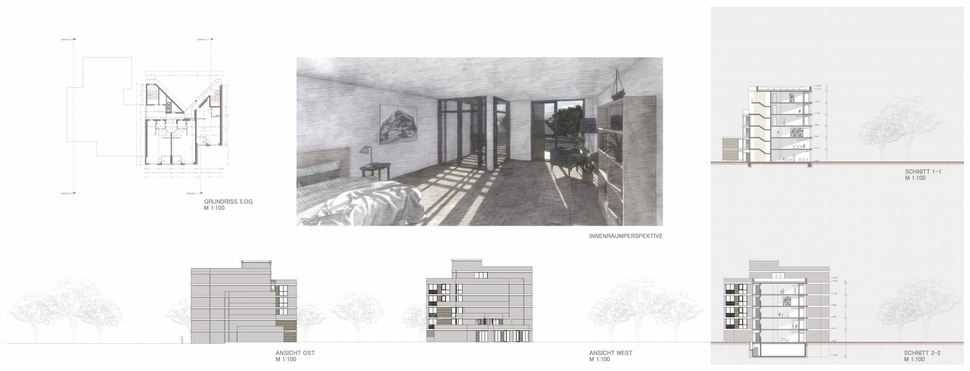 plan 5